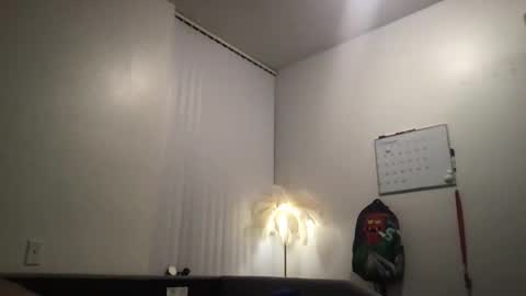 Snapshot of shelbybabyxo chatting on 12-01-25, 02:00 babygirl online show from 12-01-25, 02:00