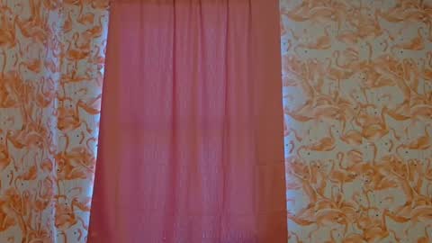 Snapshot of shelikessoymilk chatting on 12-25-24, 08:39 Erika online show from 12-25-24, 08:39