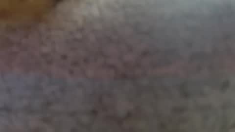 Snapshot of shelikessoymilk chatting on 02-25-25, 09:24 Erika online show from 02-25-25, 09:24