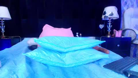 Shelsy online show from 02-18-25, 02:59