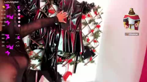 Snapshot of shengyi_blue chatting on 01-13-25, 01:39 anyela7773 online show from 01-13-25, 01:39