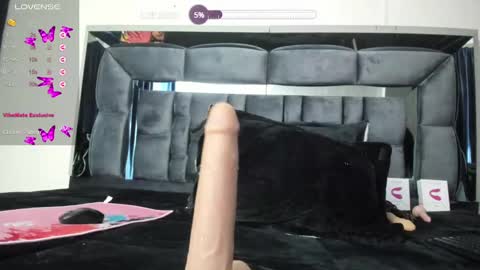 Snapshot of shengyi_blue chatting on 02-21-25, 08:51 anyela7773 online show from 02-21-25, 08:51