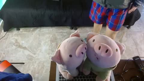 Snapshot of shinobi_grey chatting on 01-24-25, 03:55  .. shinobi .. online show from 01-24-25, 03:55