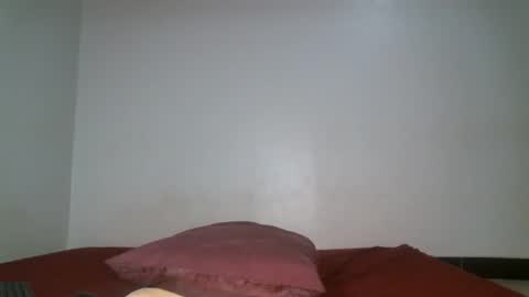 Snapshot of shiro254 chatting on 04-29-26, 08:59 Shi-ro online show from 04-29-26, 08:59