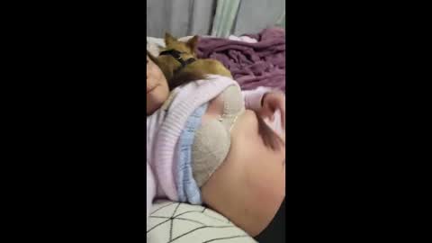 Snapshot of shmuberryfarms chatting on 12-15-25, 12:09 shmooinaround online show from 12-15-25, 12:09