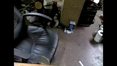 Snapshot of shoani chatting on 11-08-25, 07:41 Shoani online show from 11-08-25, 07:41