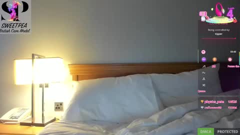 short sweetpea online show from 03-01-25, 09:18