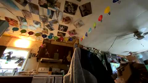 Snapshot of shorty920505 chatting on 05-24-26, 10:37 shorty920505 online show from 05-24-26, 10:37