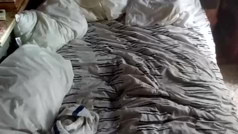tomuchfunn online show from 04-03-26, 10:52