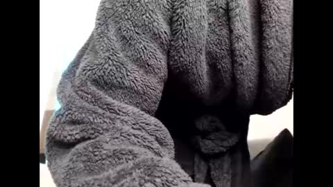 Sheril  online show from 03-06-26, 06:48