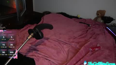 Snapshot of shygirlfromeurope chatting on 01-31-25, 12:28 Vivian  online show from 01-31-25, 12:28