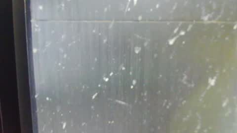 shygurl18hot online show from 10-13-25, 07:08