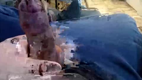 Snapshot of shynessy chatting on 12-15-25, 01:10 shynessy online show from 12-15-25, 01:10