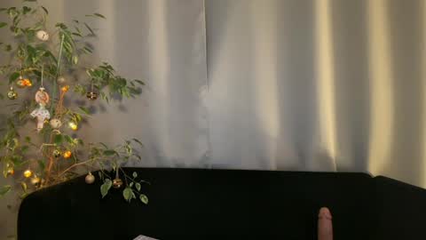 Amelia online show from 12-23-24, 10:12