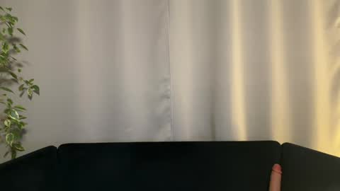 Amelia online show from 01-29-25, 07:00