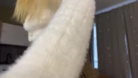 Aurora online show from 10-12-25, 06:23