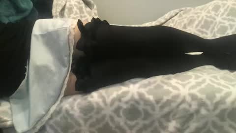 shysissy12 online show from 09-28-25, 01:05