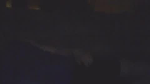 Snapshot of sickone6669947170 chatting on 02-11-26, 08:19 Bill online show from 02-11-26, 08:19