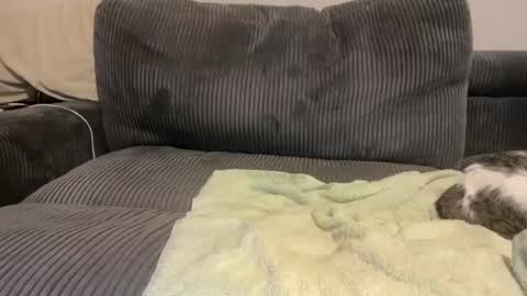 Call Me Yours online show from 04-28-26, 07:35