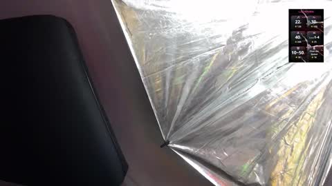 Sienna online show from 02-05-26, 12:10