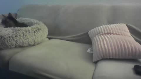 Lady Sif online show from 02-16-26, 02:29