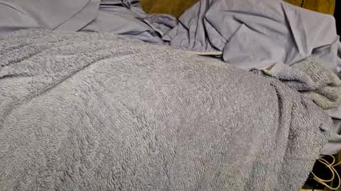 Sinseason online show from 12-03-24, 09:22