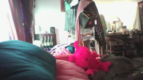 Siofra online show from 02-13-25, 07:10