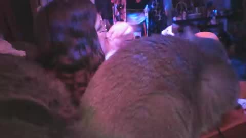 Siofra online show from 03-06-25, 09:25