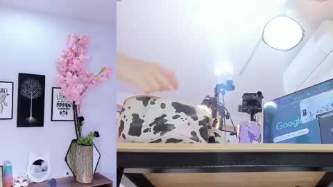 Siouxsie online show from 02-15-26, 11:19