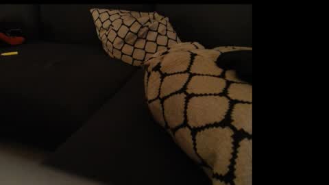 sissygirlalexandra online show from 01-26-25, 01:31