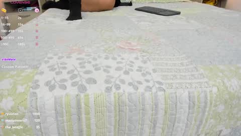 Snapshot of skinny_isabela chatting on 01-31-25, 02:28 Isabela online show from 01-31-25, 02:28