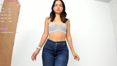 Snapshot of skinny_isabela chatting on 02-04-25, 11:27 Isabela online show from 02-04-25, 11:27