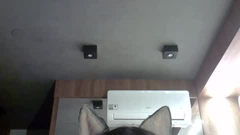 skinnykittencam online show from 09-28-25, 05:57