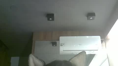 skinnykittencam online show from 10-05-25, 12:53