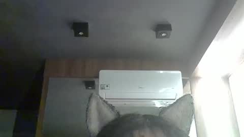 skinnykittencam online show from 01-11-26, 12:26
