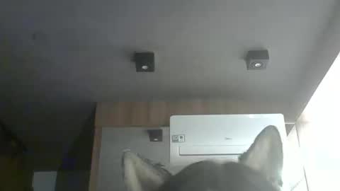 skinnykittencam online show from 02-04-26, 12:38