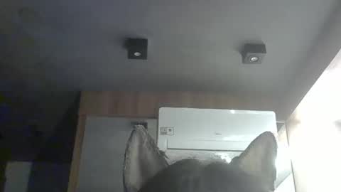 skinnykittencam online show from 02-07-26, 05:00