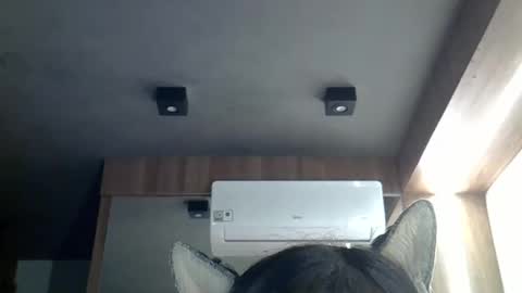 skinnykittencam online show from 03-02-26, 11:06