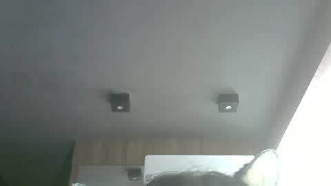 skinnykittencam online show from 03-29-26, 04:34