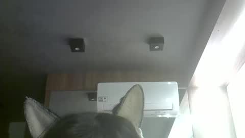 Snapshot of skinnykittencam chatting on 05-10-26, 06:51 skinnykittencam online show from 05-10-26, 06:51