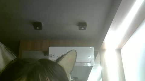 Snapshot of skinnykittencam chatting on 05-18-26, 08:47 skinnykittencam online show from 05-18-26, 08:47