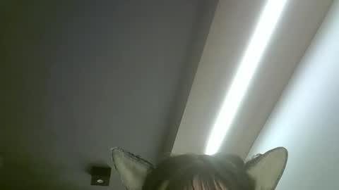 Snapshot of skinnykittencam chatting on 05-19-26, 02:18 skinnykittencam online show from 05-19-26, 02:18