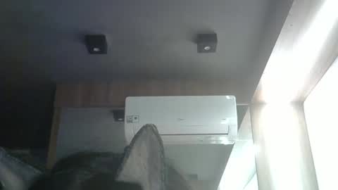 Snapshot of skinnykittencam chatting on 05-24-26, 04:01 skinnykittencam online show from 05-24-26, 04:01