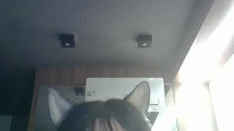 Snapshot of skinnykittencam chatting on 05-26-26, 09:38 skinnykittencam online show from 05-26-26, 09:38