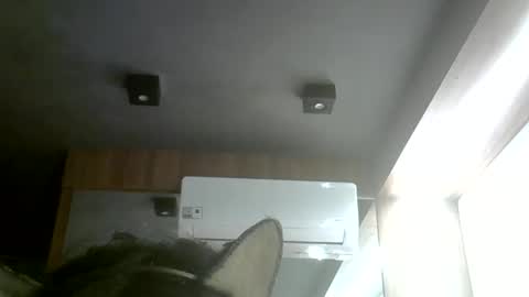 Snapshot of skinnykittencam chatting on 05-31-26, 08:21 skinnykittencam online show from 05-31-26, 08:21