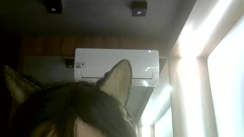 Snapshot of skinnykittencam chatting on 06-07-26, 05:38 skinnykittencam online show from 06-07-26, 05:38