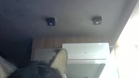 Snapshot of skinnykittencam chatting on 06-08-26, 04:51 skinnykittencam online show from 06-08-26, 04:51