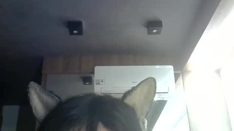 Snapshot of skinnykittencam chatting on 06-09-26, 09:32 skinnykittencam online show from 06-09-26, 09:32