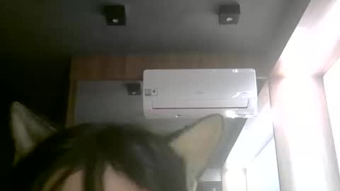 Snapshot of skinnykittencam chatting on 06-11-26, 02:53 skinnykittencam online show from 06-11-26, 02:53