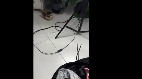 Snapshot of skinnylatin69 chatting on 01-20-25, 02:32 skinnylatin69 online show from 01-20-25, 02:32